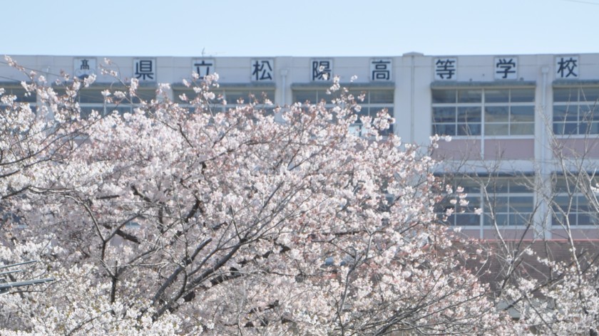 高校・高専　松陽高校（高校・高専）まで786m