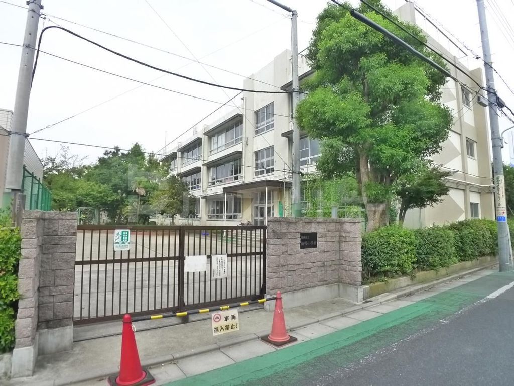 小学校　葛飾区立飯塚小学校（小学校）まで800m
