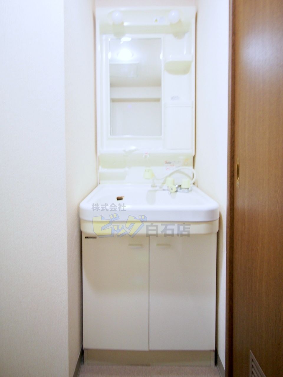 洗面設備　シャンプードレッサー付きです♪