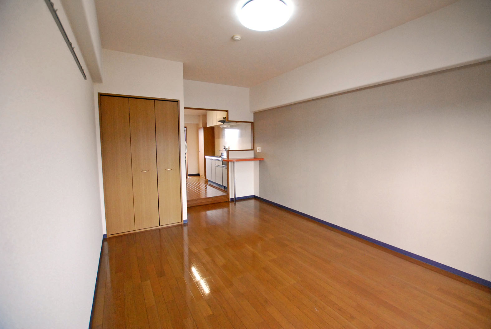 居室・リビング　窓側から室内を見たところ