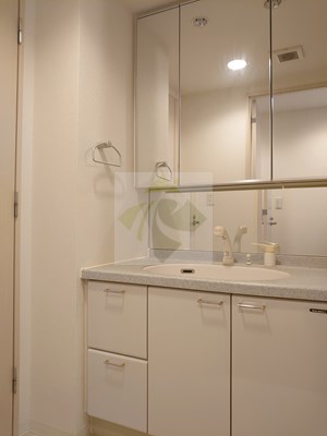 洗面設備　トレステージ目黒