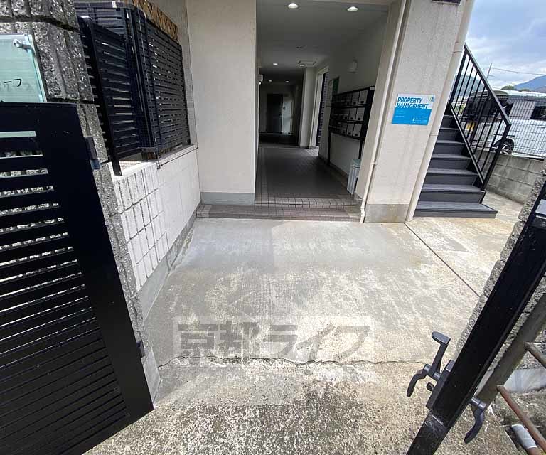 庭