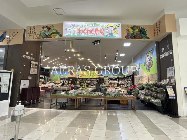 スーパー　わくわく広場 イオン柏店（スーパー）まで646m