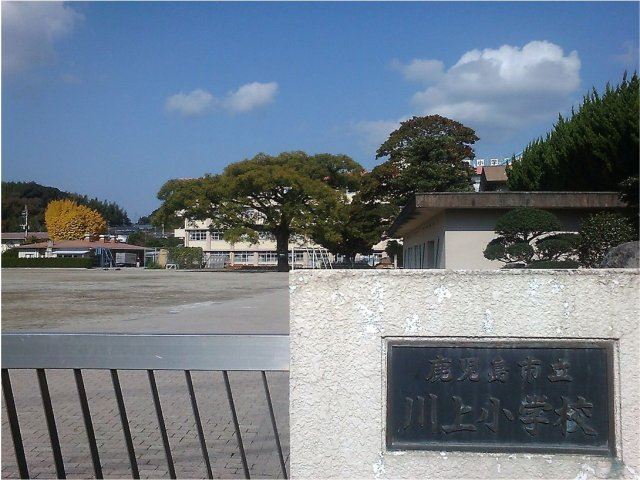 小学校　川上小学校（小学校）まで1100m