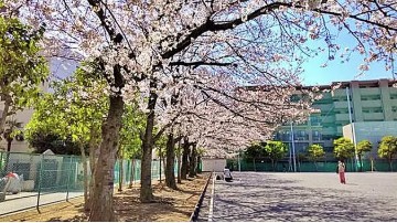 公園　市場旧東海道公園（公園）まで2464m
