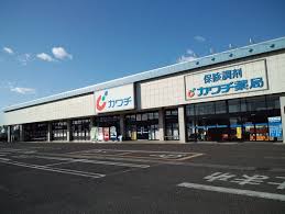 ドラックストア　カワチ薬品愛子店（ドラッグストア）まで921m