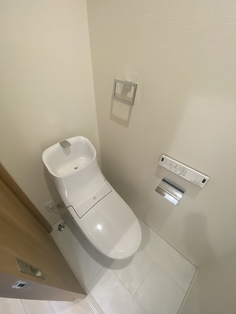 トイレ　デザイン性と機能性どちらも高いです。