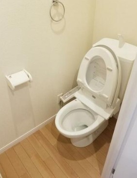 トイレ　※同シリーズ施工参考写真