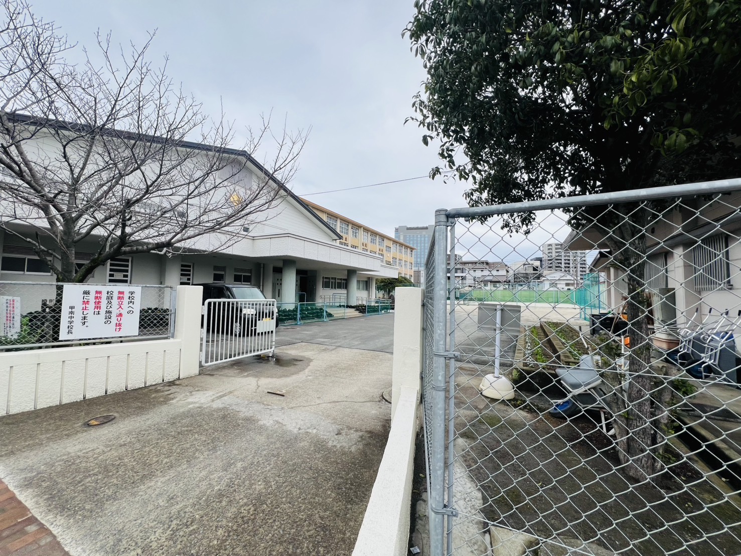 中学校　鹿児島市立甲南中学校（中学校）まで1000m