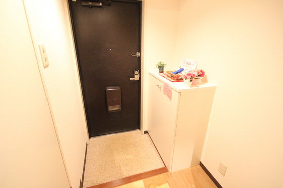 玄関　※別部屋の写真です