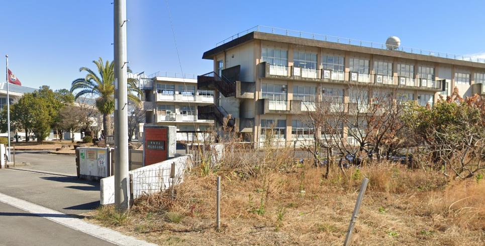 小学校　財光寺南小学校（小学校）まで220m