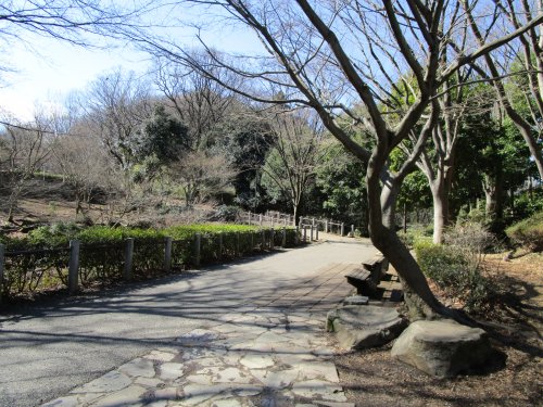 公園　茅ヶ崎公園（公園）まで426m