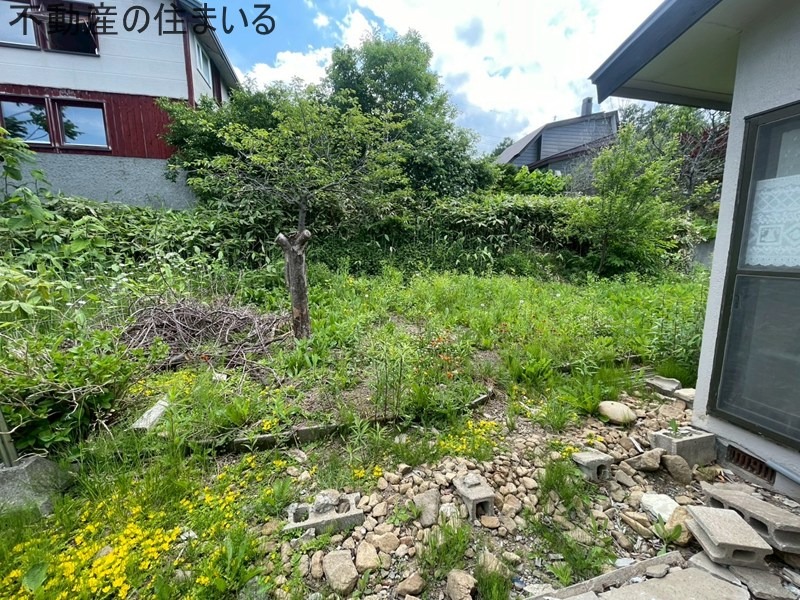 庭
