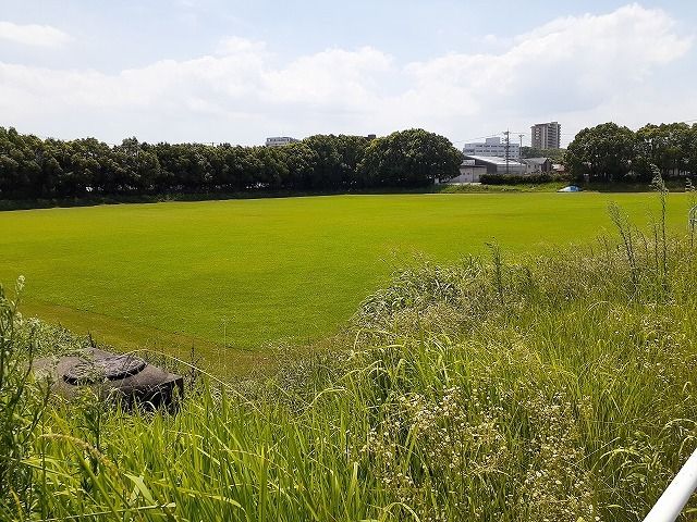 公園　青山公園（公園）まで250m