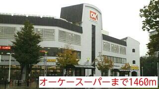その他　オーケースーパーまで1460m