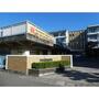 中学校　静岡市立南中学校（中学校）まで700m