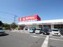 ドラックストア　サンキュードラッグ筒井町店（ドラッグストア）まで600m