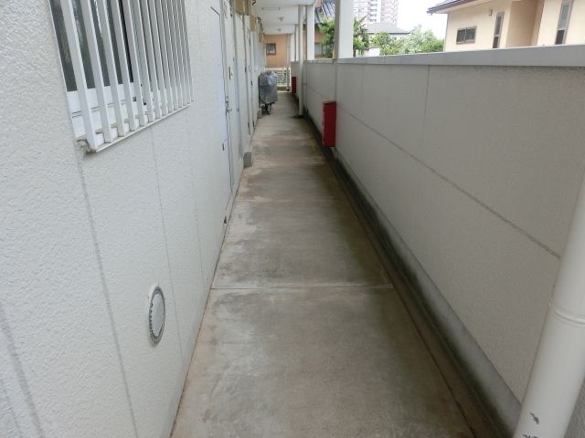 エントランス　共用廊下です