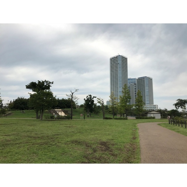 公園　二子玉川公園（公園）まで28m
