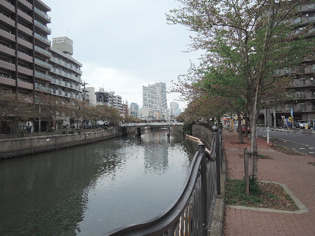その他　大岡川（その他）まで803m