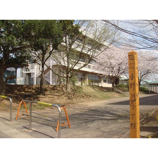 小学校　つくば市立小野川小学校（小学校）まで2300m