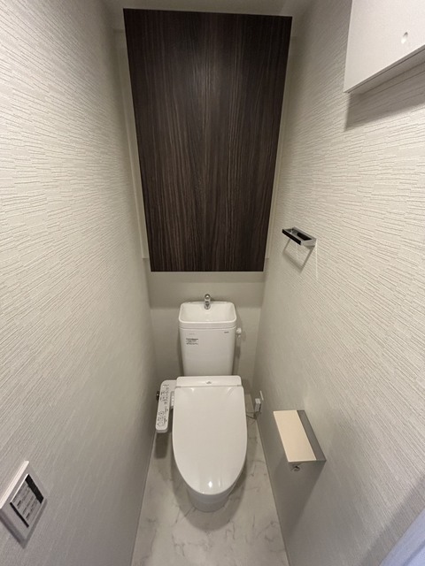 デュオステージ海老名IIのトイレ写真