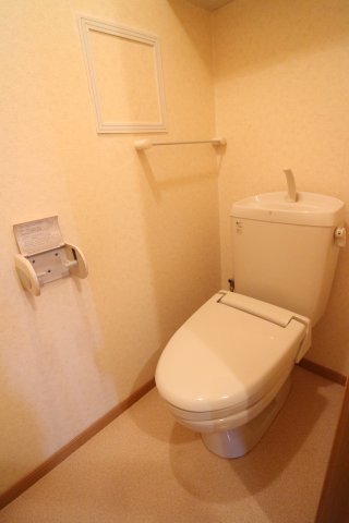 ドミール5のトイレ写真