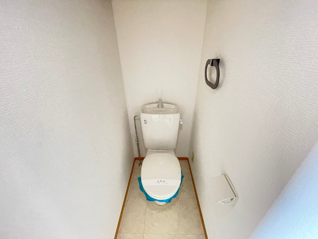 ハイツ仲道のトイレ写真