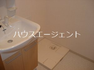 その他　洗濯機置き場は脱衣所にあるのが便利です