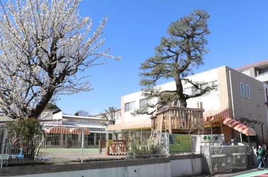幼稚園・保育園　こひつじ幼稚園（幼稚園・保育園）まで191m