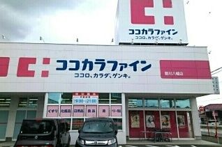 ドラックストア　ココカラファイン豊川八幡店様（ドラッグストア）まで760m