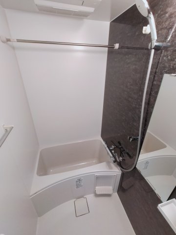 SーRESIDENCE高井田Centralの風呂写真