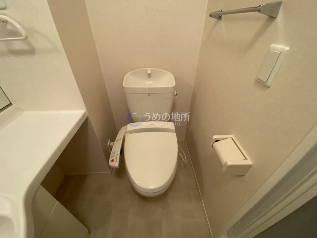 ＪＲ鹿児島本線 久留米駅 徒歩20分 2階建 築17年のトイレ写真