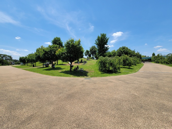 公園　都立東伏見公園（公園）まで359m