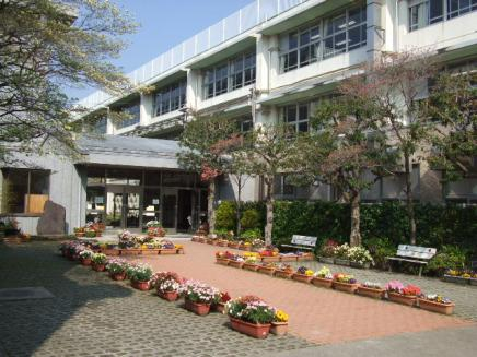 中学校　世田谷区立奥沢中学校（中学校）まで317m