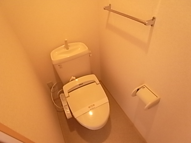 トイレ　同一物件別部屋写真