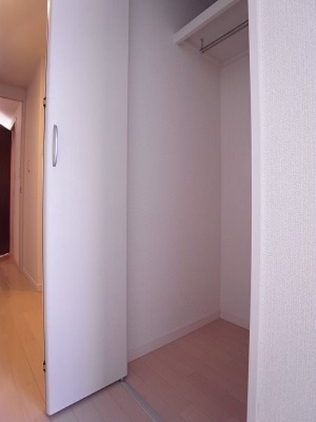 収納　奥行きのある収納です。(同建物の別部屋の写真)