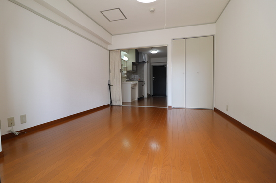 居室・リビング　※別号室の写真です。