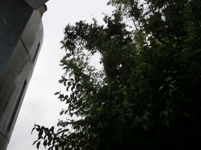眺望　★バルコニーからの景色です★
