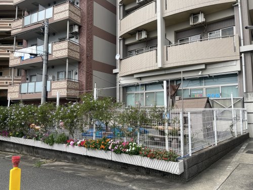 幼稚園・保育園　アリス保育園（幼稚園・保育園）まで184m