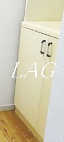 収納　シューズボックスです。
