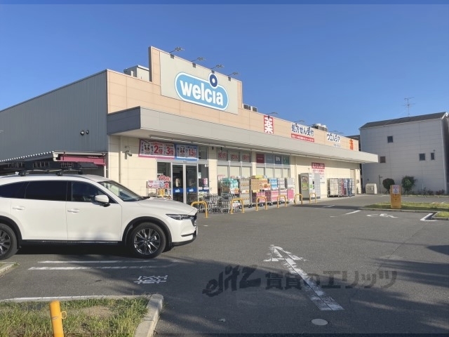 ドラックストア　ウエルシア寝屋川高宮店（ドラッグストア）まで430m