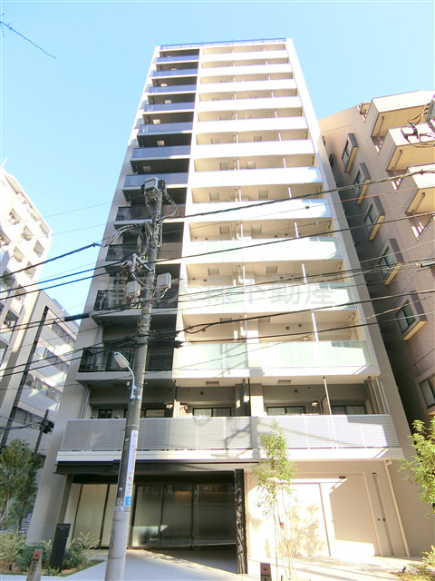 建物外観　2024年8月築　RC鉄筋コンクリートト地上14階建て総戸数
