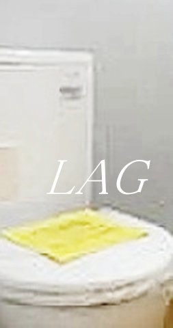 トイレ　トイレです。