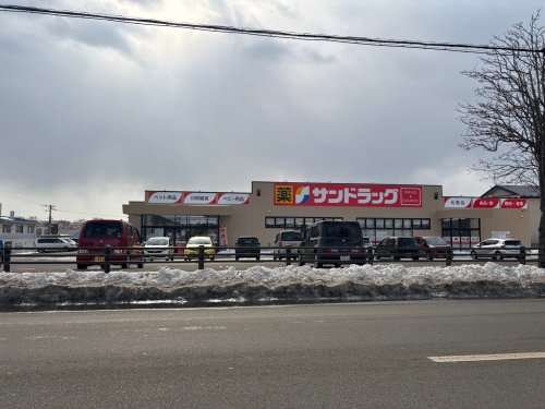 ドラックストア　サンドラッグ 春採店（ドラッグストア）まで919m