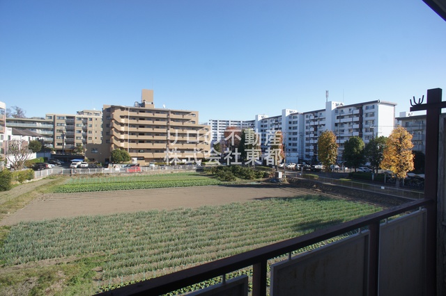 眺望　お部屋からの景色です！