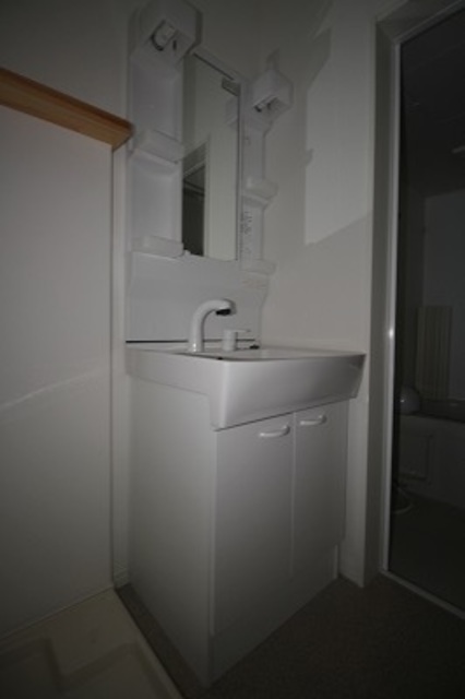 洗面設備　※別号室のお写真となります。