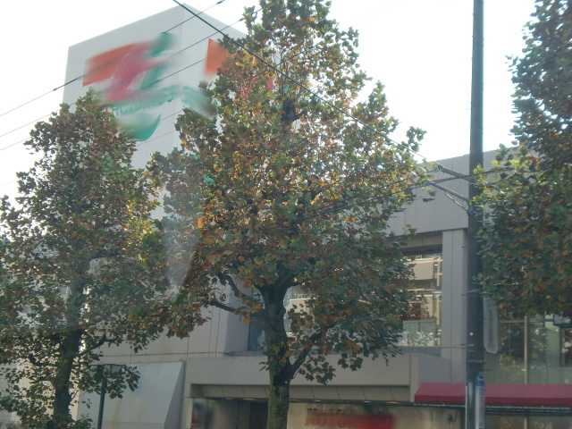 その他　イトーヨーカドー洋光台店（その他）まで1475m