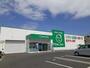 ドラックストア　ザグザグ福富店（ドラッグストア）まで125m