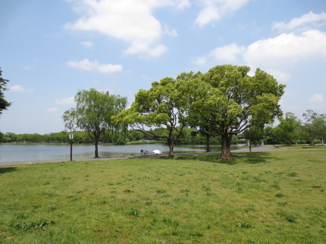 その他　水元公園（その他）まで1559m